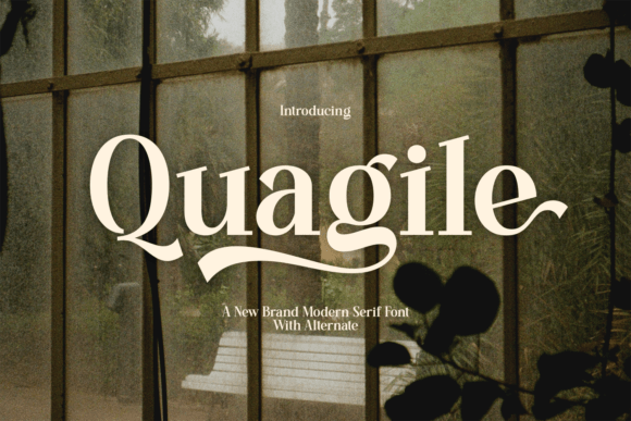 Quagile: A Modern Serif Font That Makes Your Campaigns Feel Intentional